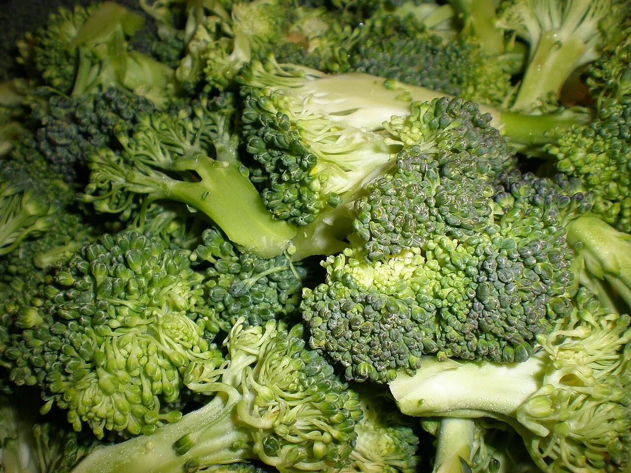 Brocoli