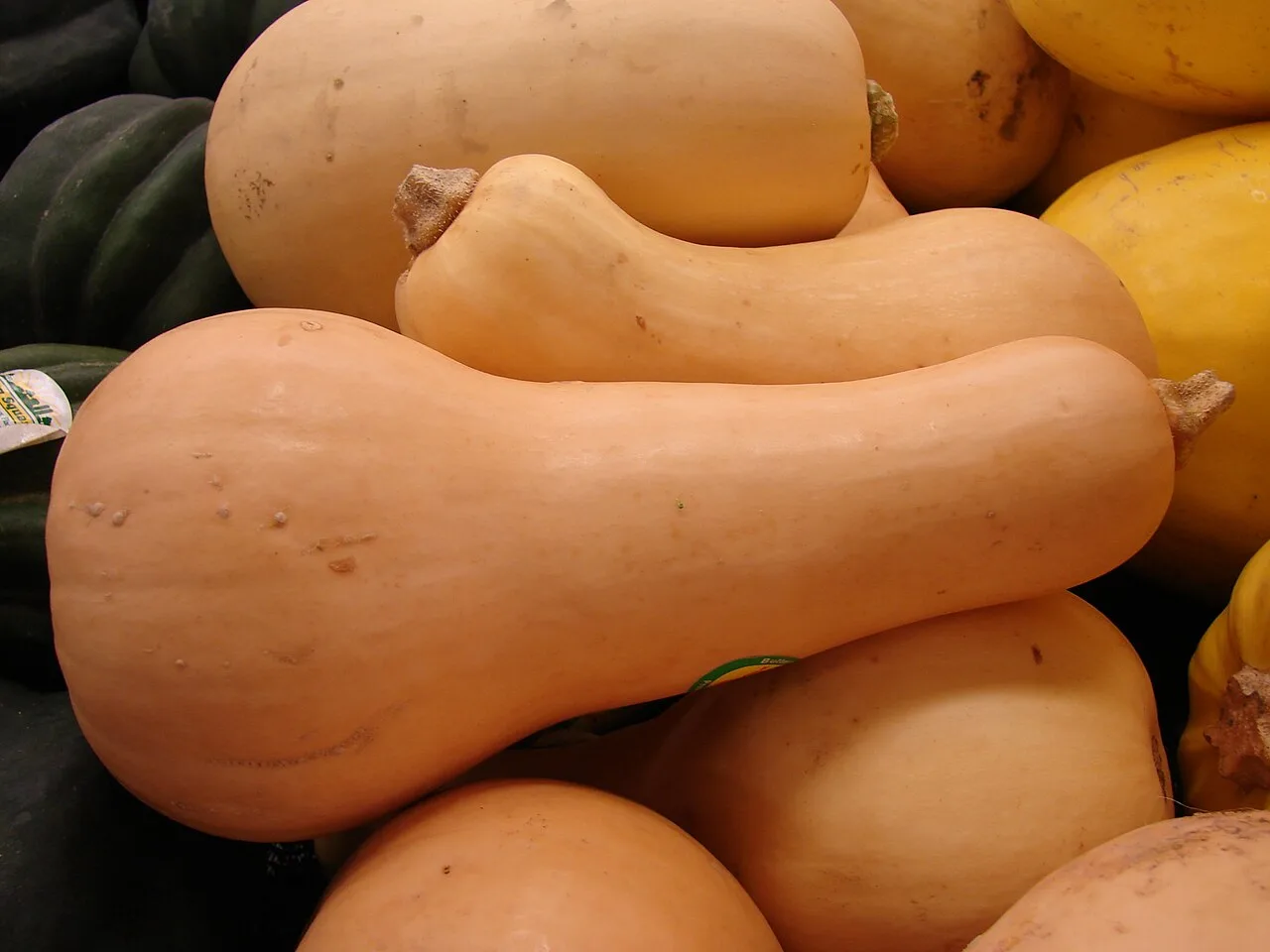 Courge butternut