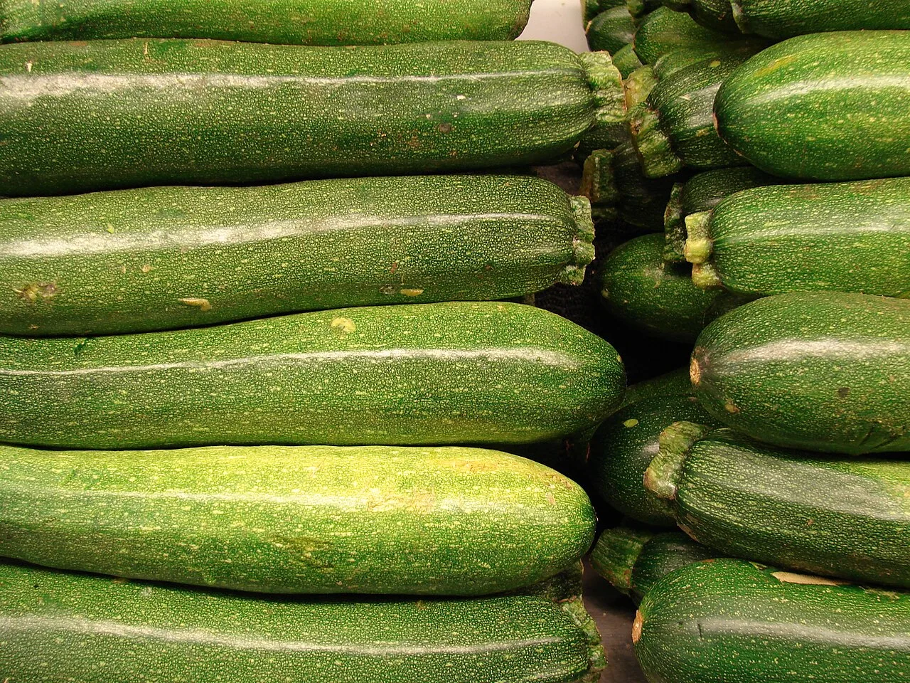 Courgette