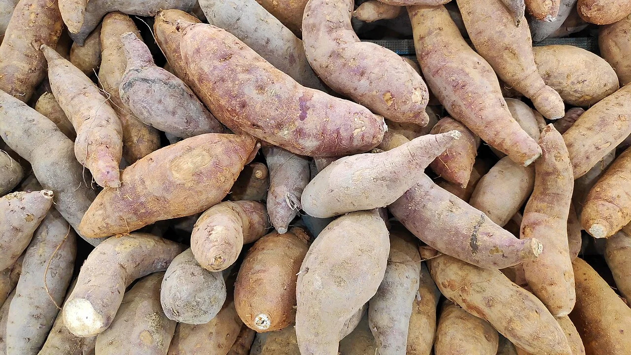 Patate douce