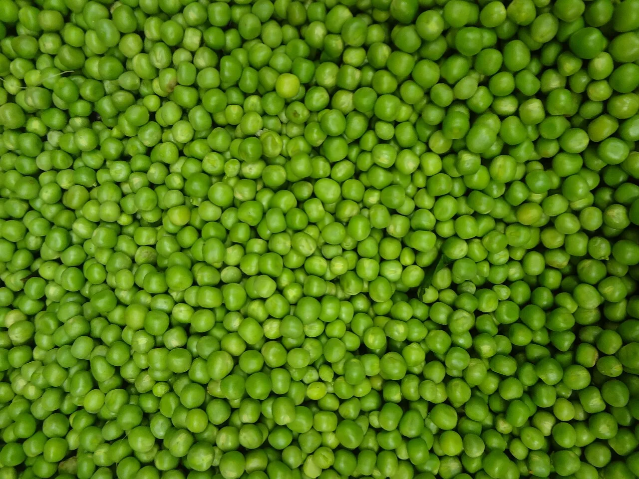 Petit pois