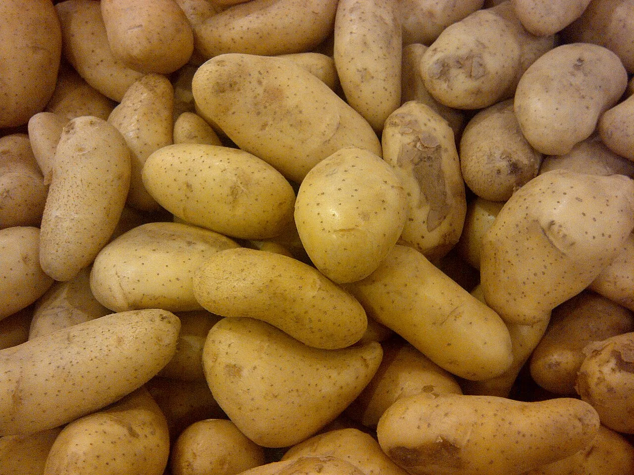 Pomme de terre