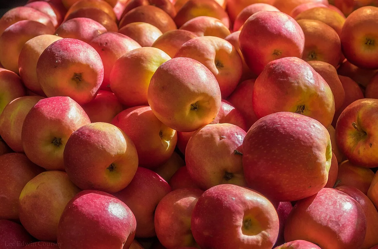 Pommier